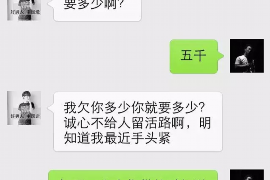 连云港为什么选择专业追讨公司来处理您的债务纠纷？